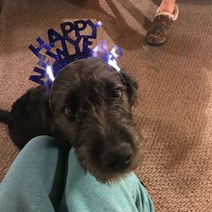 Meet your Posher, Kira